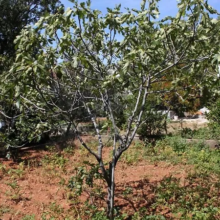 With A Parking Space Starigrad, Paklenica - 6575 * Starigrad Paklenica