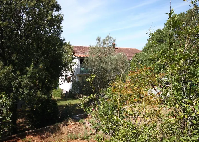 With A Parking Space Starigrad, Paklenica - 6575 公寓 斯塔利格拉德-帕克利尼卡